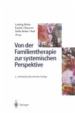 Von der Familientherapie zur systemischen Perspektive (eBook, PDF)