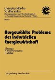 Ausgewählte Probleme der industriellen Energiewirtschaft (eBook, PDF)