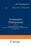 Kommunales Prüfungswesen (eBook, PDF)
