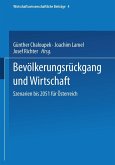 Bevölkerungsrückgang und Wirtschaft (eBook, PDF)