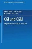 CGI und CGM (eBook, PDF)