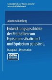 Entwicklungsgeschichte der Prothallien von Equisetum silvaticum L. und Equisetum palustre L. (eBook, PDF)