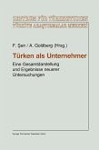Türken als Unternehmer (eBook, PDF)