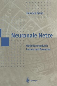 Neuronale Netze (eBook, PDF) - Braun, Heinrich