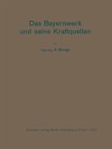 Das Bayernwerk und seine Kraftquellen (eBook, PDF)