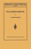 Pflanzenatmung (eBook, PDF)
