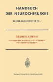 Grundlagen II (eBook, PDF)
