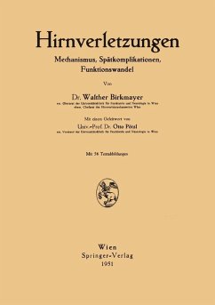 Cover Hirnverletzungen (eBook, PDF)
