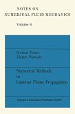 Numerical Methods in Laminar Flame Propagation (eBook, PDF)