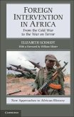 Foreign Intervention in Africa (eBook, PDF)