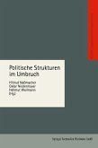 Politische Strukturen im Umbruch (eBook, PDF)