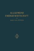 Allgemeine Energiewirtschaft (eBook, PDF)