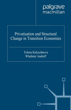 Privatisation and Structural Change in Transition Economies (eBook, PDF) - Kalyuzhnova, Yelena; Andreff, Wladimir