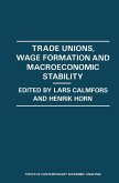 Trade Unions, Wage Formation and Macroeconomic Stability (eBook, PDF)