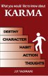 What You Would Like to Know About Karma... - Bild 1