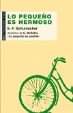 Lo pequeño es hermoso (eBook, ePUB)