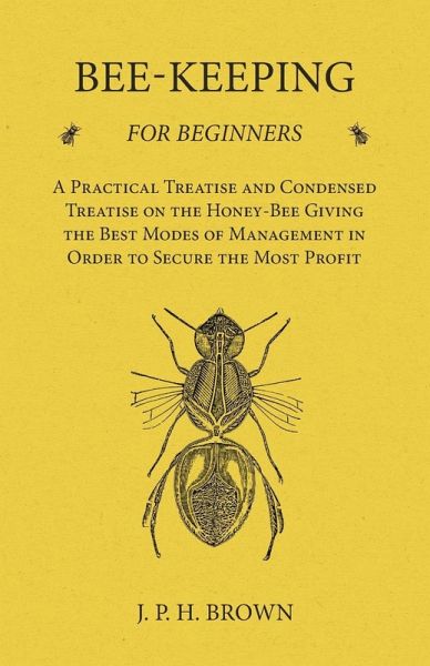 Bee-Keeping for Beginners - A Practical Treatise and Condensed Treatise on the Honey-Bee Giving the Best Modes of Management in Order to Secure the Most Profit (eBook, ePUB)