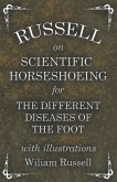 Russell on Scientific Horseshoeing for the Different Diseases of the Foot with Illustrations (eBook, ePUB)