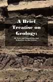 A Brief Treatise on Geology; Or Facts and Suggestions, and Inductions in that Science (eBook, ePUB) A Brief Treatise on Geology; Or Facts and Suggestions, and Inductions in that Science (eBook, ePUB)
