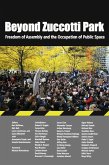 Beyond Zuccotti Park (eBook, ePUB)
