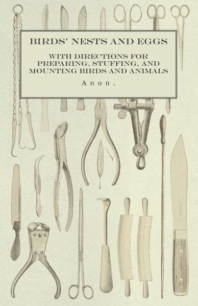 Birds' Nests and Eggs - With Directions for Preparing, Stuffing, and Mounting Birds and Animals (eBook, ePUB) Birds' Nests and Eggs - With Directions for Preparing, Stuffing, and Mounting Birds and Animals (eBook, ePUB)