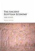 The Ancient Egyptian Economy