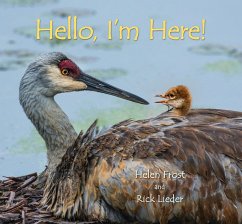 Hello, I'm Here! - Frost, Helen