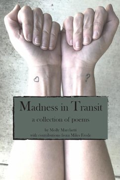 Madness in Transit - Marchetti, Molly