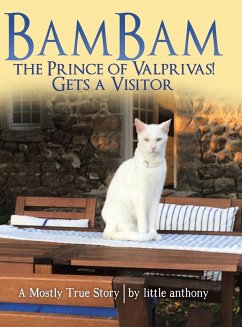 Bambam the Prince of Valprivas! Gets a Visitor - Little Anthony