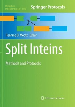 Split Inteins