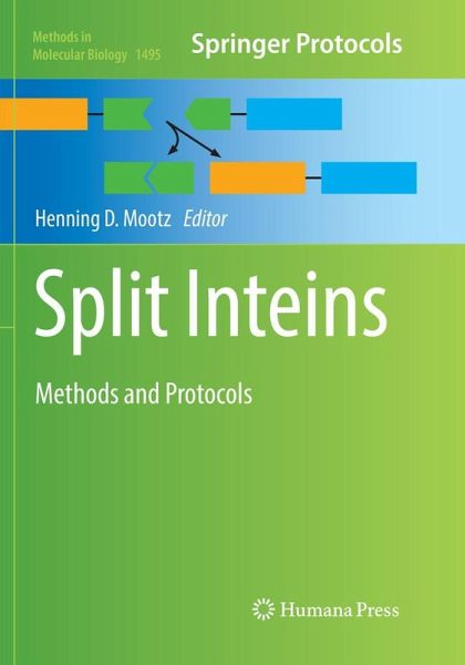 Split Inteins Split Inteins