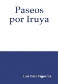 Paseos por Iruya