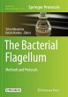 The Bacterial Flagellum - Bild 1