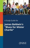 A Study Guide for James Baldwin's &quote;Blues for Mister Charlie&quote;