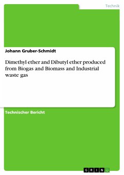 Dimethyl ether and Dibutyl ether produced from Biogas and Biomass and Industrial waste gas (eBook, PDF) - Gruber-Schmidt, Johann