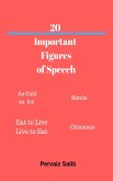 20 Important Figures of Speech (eBook, ePUB)