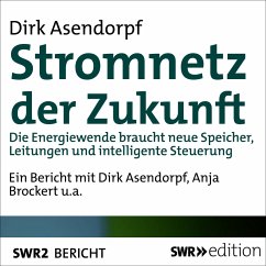 Stromnetz der Zukunft (MP3-Download) - Asendorpf, Dirk