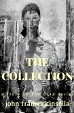 The Collection (eBook, ePUB)