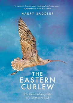 Eastern Curlew (eBook, ePUB) - Sadler, Harry