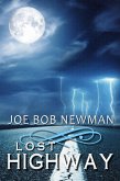 Lost Highway (eBook, ePUB)