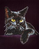 DIAMOND DOTZ - Diamond Painting Schwarze Katze