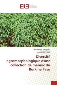 Diversité agromorphologique d'une collection de manioc du Burkina Faso - Gmakouba, Tighankoumi;Some, Koussao;Traore, Renan Ernest