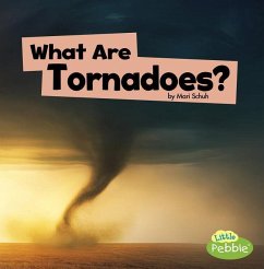 What Are Tornadoes? - Schuh, Mari