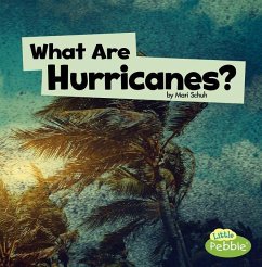 What Are Hurricanes? - Schuh, Mari