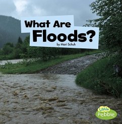 What Are Floods? - Schuh, Mari