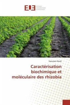 Caractérisation biochimique et moléculaire des rhizobia - Kouki, Saoussen