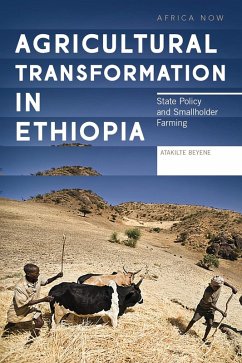 Agricultural Transformation in Ethiopia (eBook, ePUB)