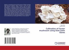 Cultivation of Oyster mushroom using Date palm leaves