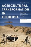 Agricultural Transformation in Ethiopia (eBook, PDF)