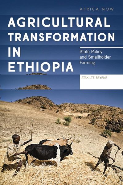 Agricultural Transformation in Ethiopia (eBook, PDF)